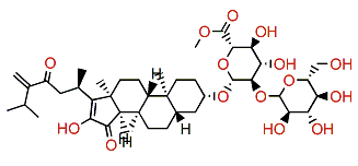Pandaroside J methyl ester